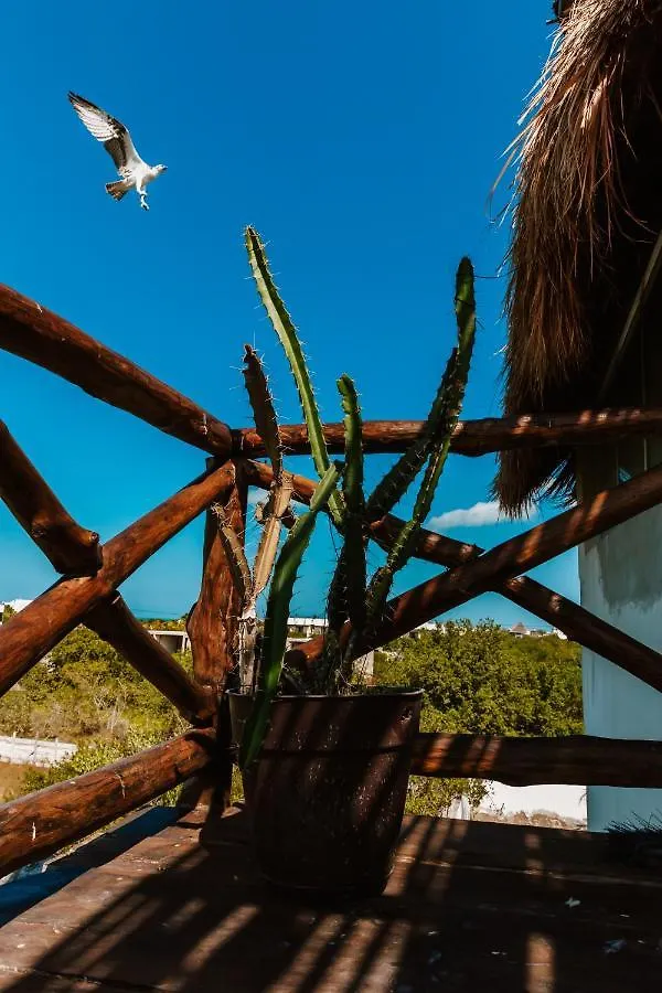 Casa Poeta Holbox Hotel Isla Holbox