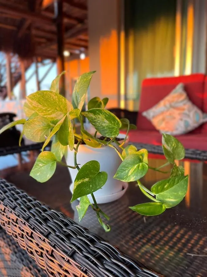ホテルCasa Poeta Holbox 0*, ホルボックス島 メキシコ